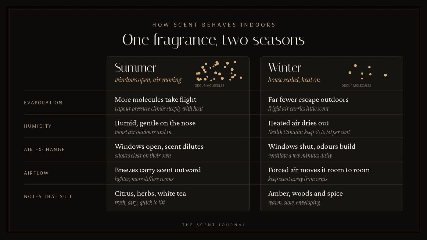 Infographic comparing summer and winter indoors: evaporation, humidity, air exchange, airflow and the fragrance notes that suit each season, with Health Canada's 30 to 50 per cent humidity range.