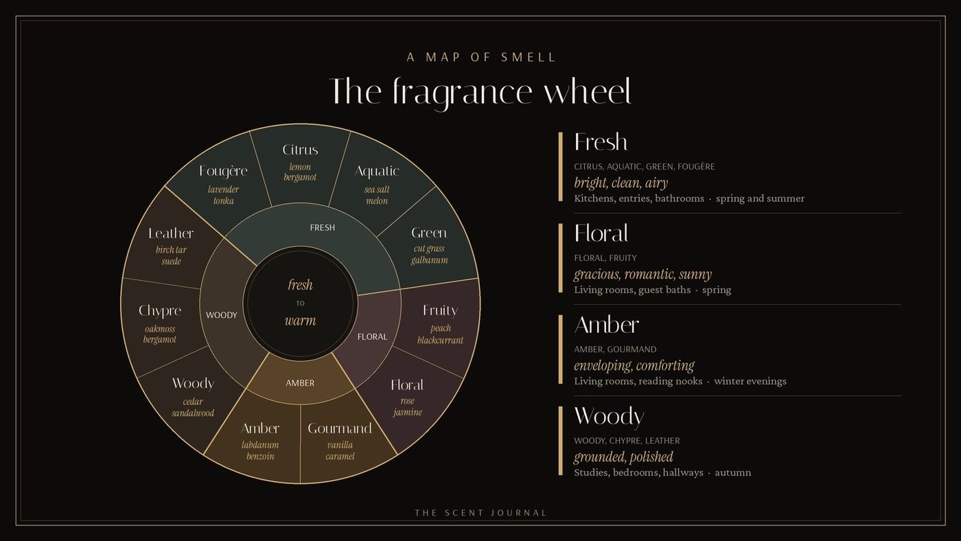 Infographic of the fragrance wheel on a black background: eleven families (citrus, aquatic, green, fruity, floral, gourmand, amber, woody, chypre, leather, fougère) grouped into fresh, floral, amber and woody, with example notes and the moods, rooms and seasons each group suits.